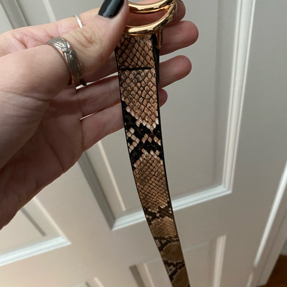 Snakeskin Belt